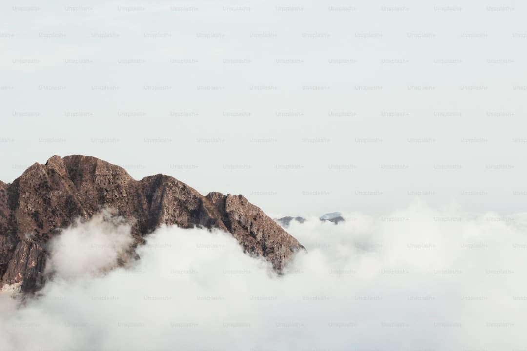 盖尔·加朵回应《白雪公主》票房惨败